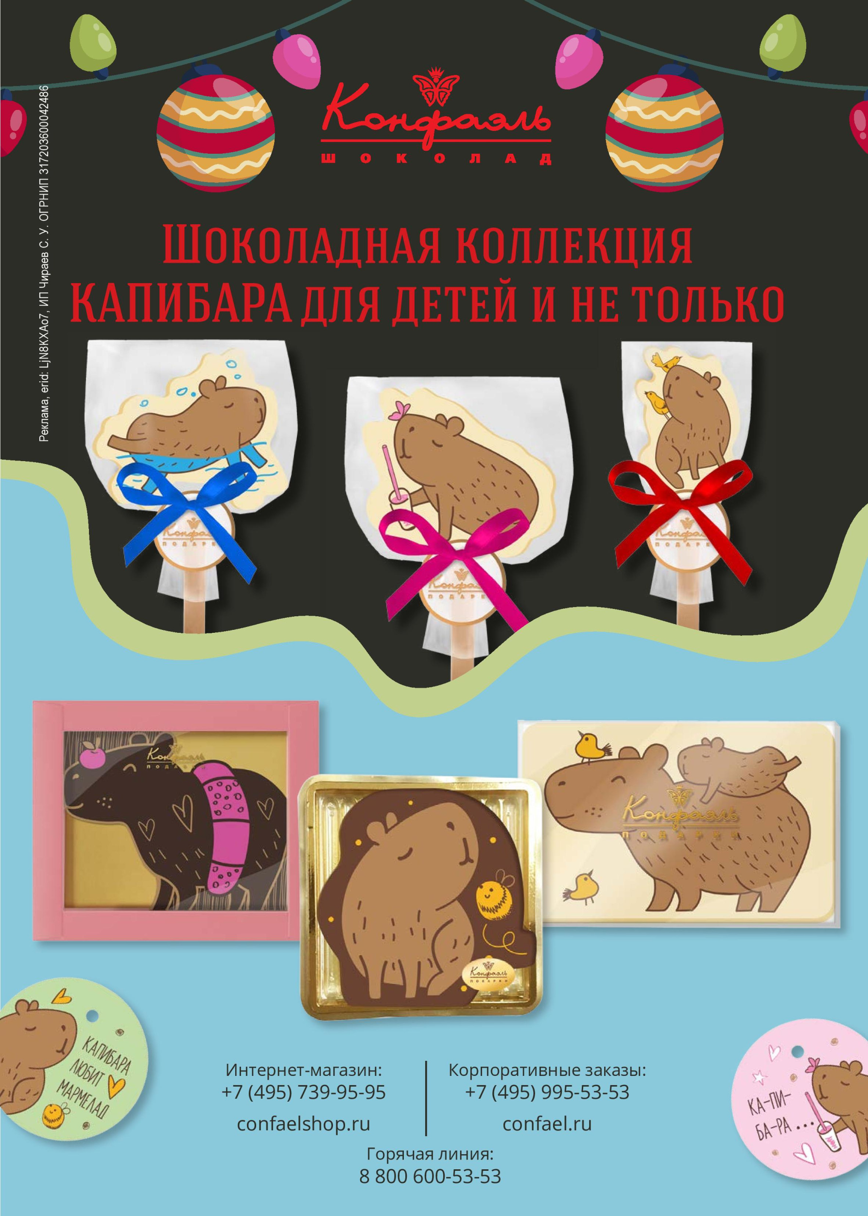 Шоколадная коллекция КАПИБАРА для детей и не только